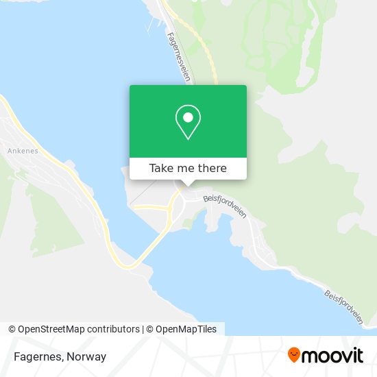 Fagernes map