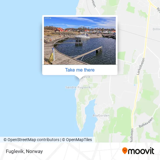 Fuglevik map