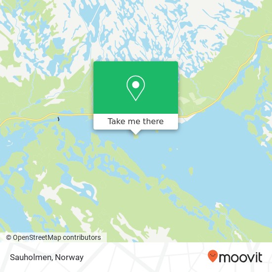 Sauholmen map