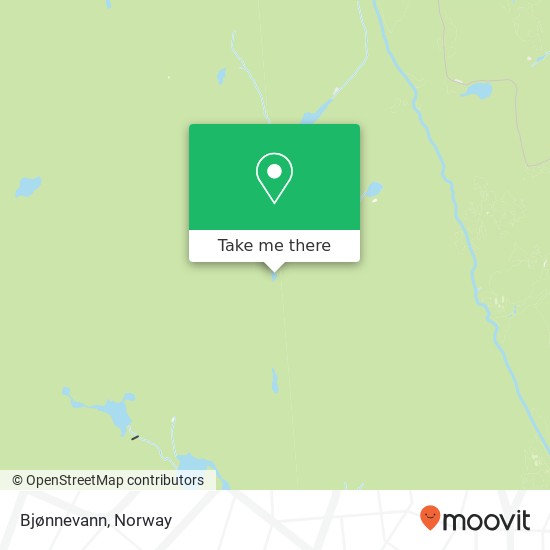 Bjønnevann map