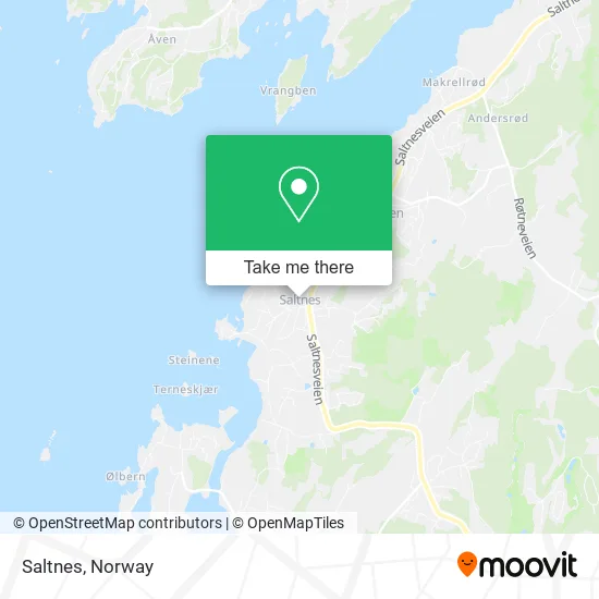 Saltnes map