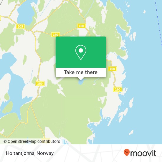 Holtantjønna map