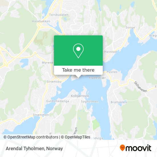 Arendal Tyholmen map