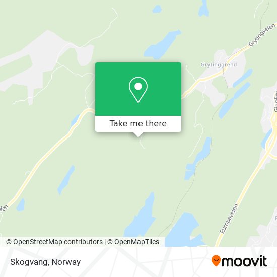 Skogvang map