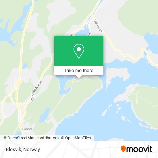 Blesvik map