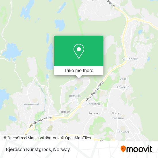 Bjøråsen Kunstgress map