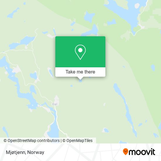 Mjøtjenn map