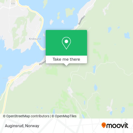 Auginsrud map