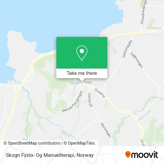 Skogn Fysio- Og Manuellterapi map