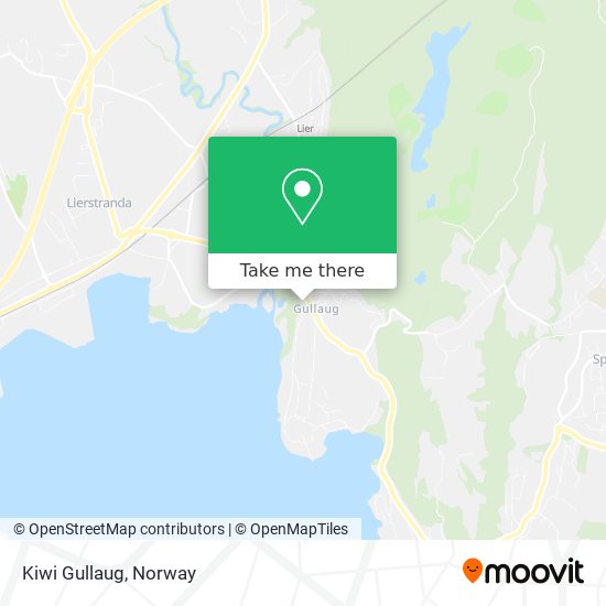 Kiwi Gullaug map