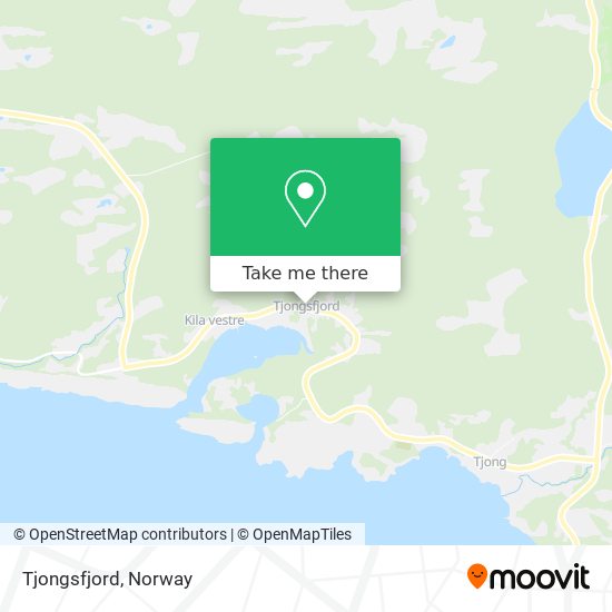 Tjongsfjord map