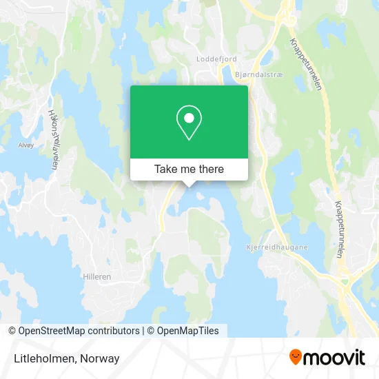Litleholmen map