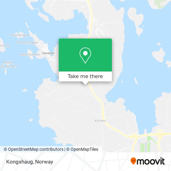 Kongshaug map