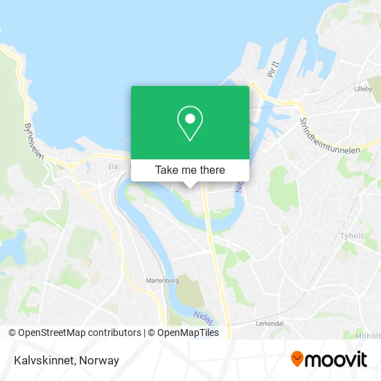 Kalvskinnet map