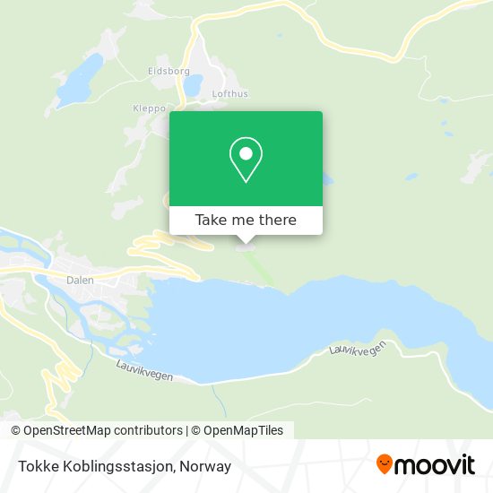 Tokke Koblingsstasjon map