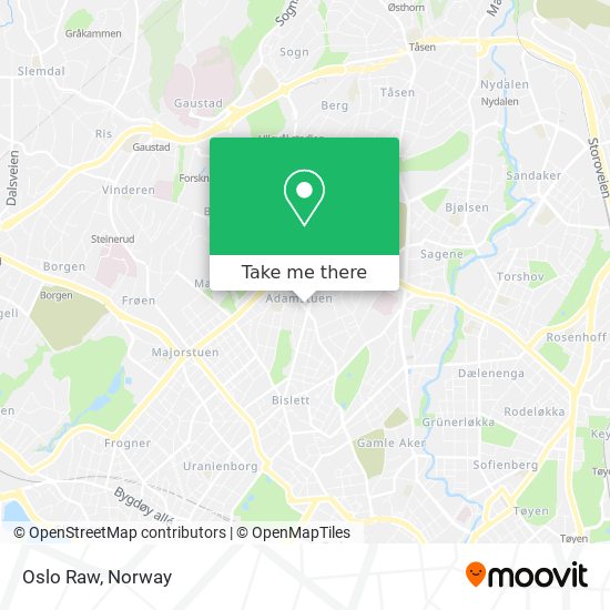 Oslo Raw map