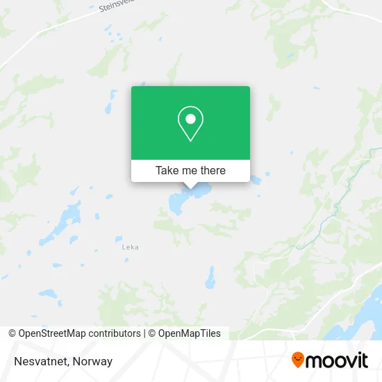 Nesvatnet map
