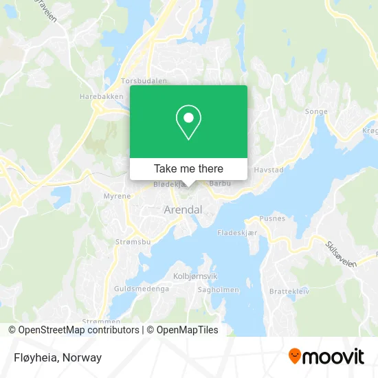 Fløyheia map