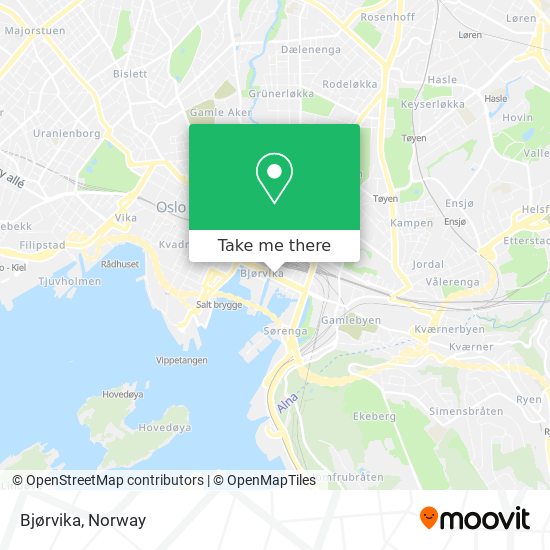 Bjørvika map