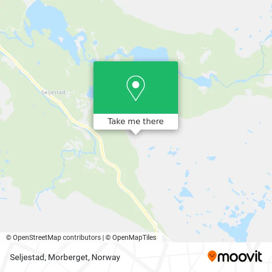 Seljestad, Morberget map