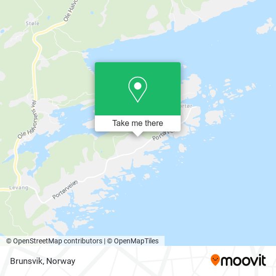 Brunsvik map