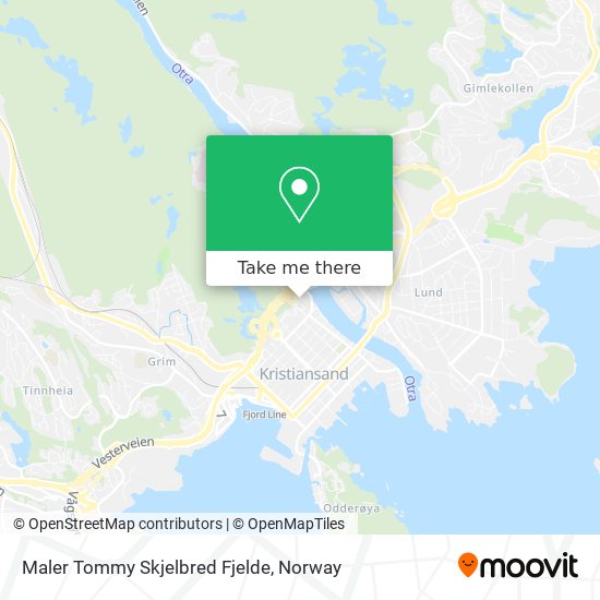 Maler Tommy Skjelbred Fjelde map