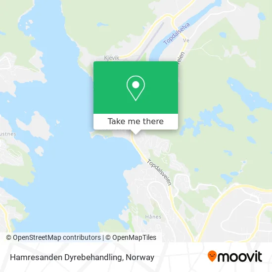 Hamresanden Dyrebehandling map