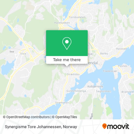 Synergisme Tore Johannessen map