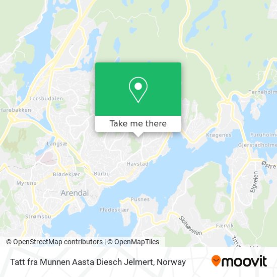 Tatt fra Munnen Aasta Diesch Jelmert map