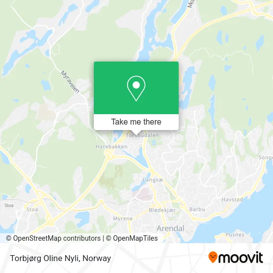 Torbjørg Oline Nyli map