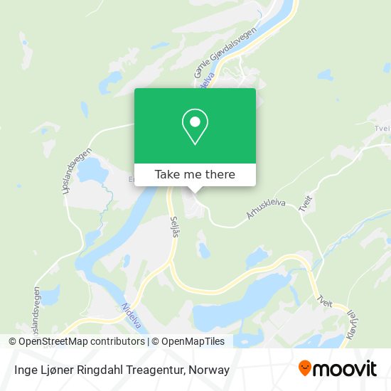 Inge Ljøner Ringdahl Treagentur map