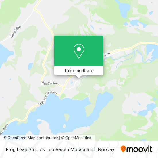 Frog Leap Studios Leo Aasen Moracchioli map