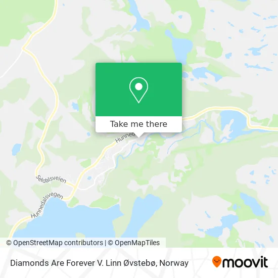 Diamonds Are Forever V. Linn Øvstebø map