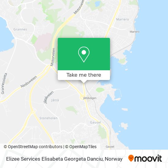 Elizee Services Elisabeta Georgeta Danciu map