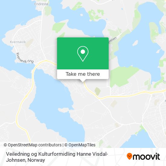 Veiledning og Kulturformidling Hanne Visdal-Johnsen map