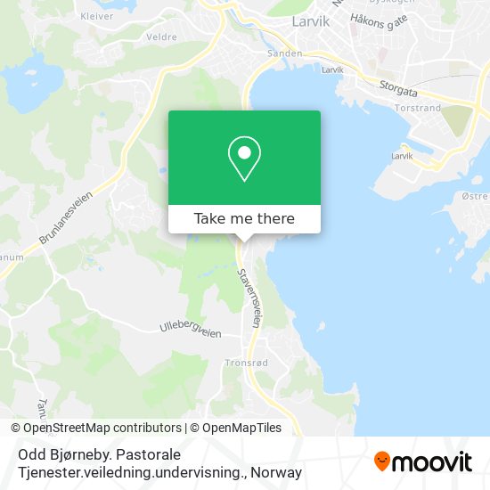 Odd Bjørneby. Pastorale Tjenester.veiledning.undervisning. map
