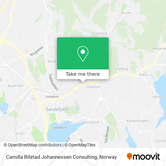 Camilla Bilstad Johannessen Consulting map