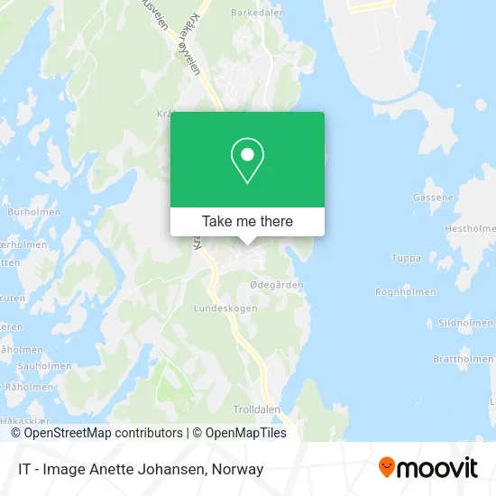 IT - Image Anette Johansen map