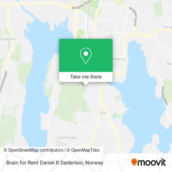 Brain for Rent Daniel R Døderlein map