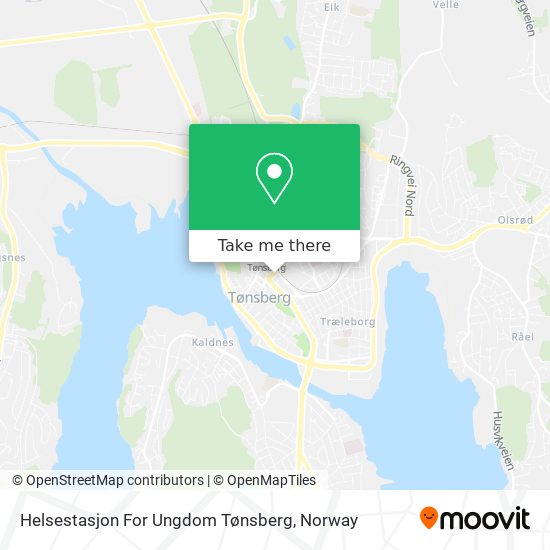 Helsestasjon For Ungdom Tønsberg map