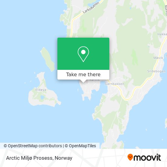 Arctic Miljø Prosess map