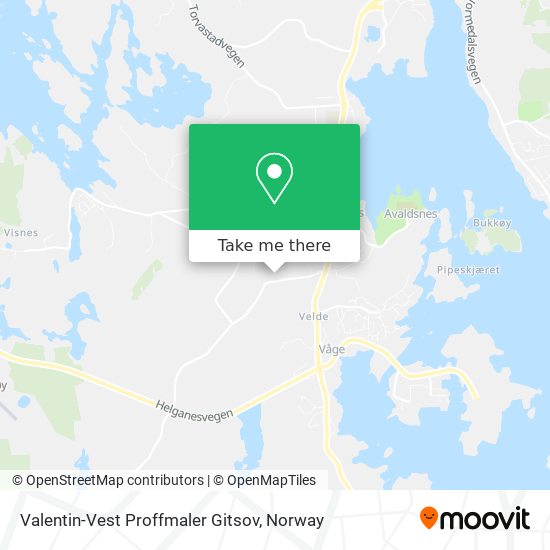 Valentin-Vest Proffmaler Gitsov map