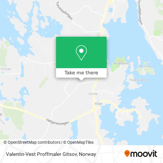 Valentin-Vest Proffmaler Gitsov map