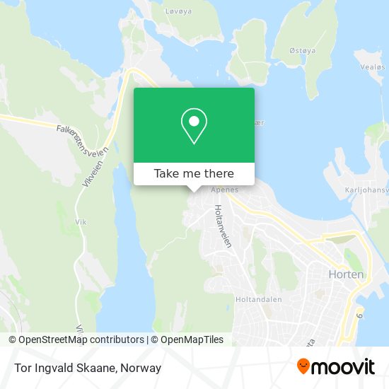 Tor Ingvald Skaane map