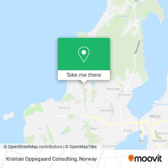 Kristian Oppegaard Consulting map