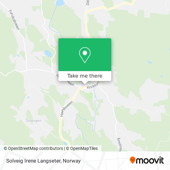 Solveig Irene Langseter map