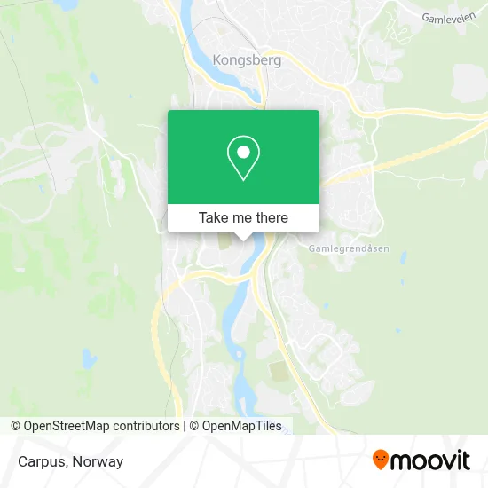 Carpus map