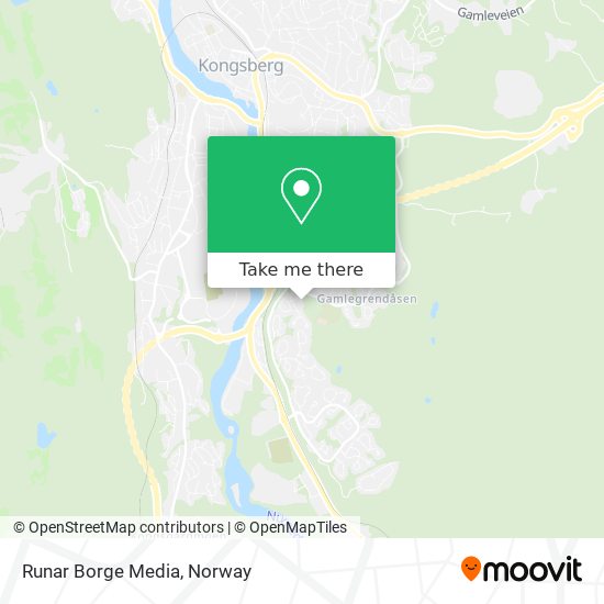 Runar Borge Media map