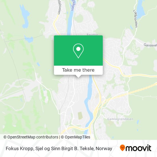 Fokus Kropp, Sjel og Sinn Birgit B. Teksle map