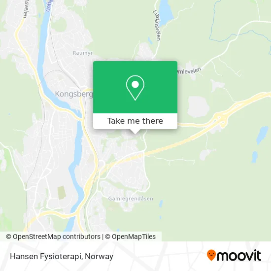 Hansen Fysioterapi map